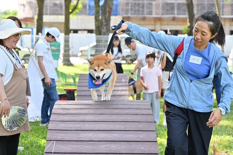 高雄推動「好伴公園」 0