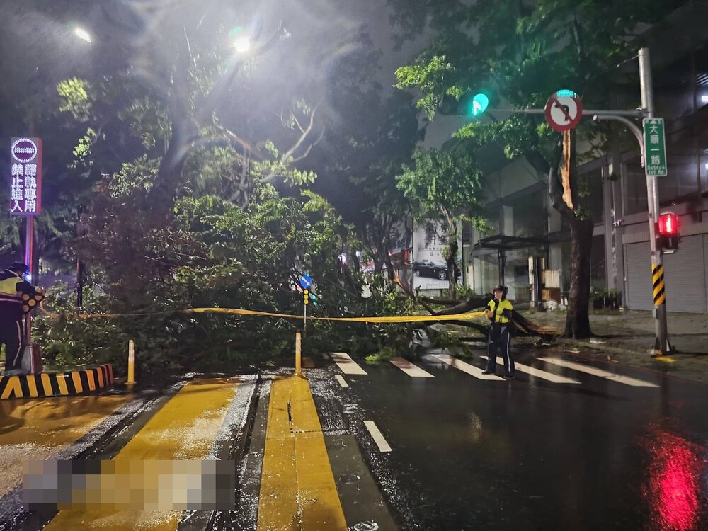 路樹不敵颱風倒塌擋道 民族警冒雨排除