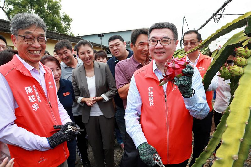 卓榮蔡參訪集集紅龍果外銷果園1