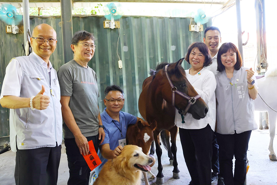 樂齡馬術伴長輩培養好肌力！榮譽市馬Lulu添丁 黃敏惠市長親送「月子禮」祝福