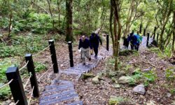 步道分級安心遊 中市府打造優質登山健行環境1