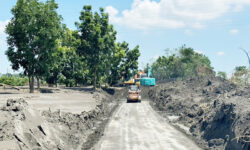 大樹舊鐵橋溼地公園災後清理迅速恢復園區休憩場域