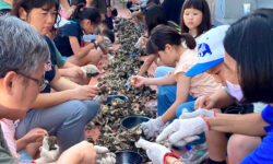 牡蠣食魚教育移師布袋，遊客變身青蚵嫂直呼有趣