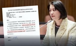 藍批綠不想實質討論總預算案 只想造謠抹黑在野黨