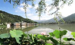0209春季踏青好去處 埔里鯉魚潭風景區2