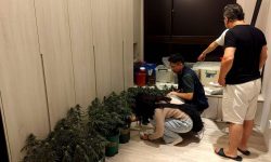 大學廚師販毒