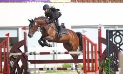 1-亞洲盃少年馬術賽311登場！中市觀旅局：推后里馬場觀賽 1