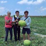 學甲西瓜節將登場 張明寶先勘察