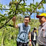 梨赤星病席捲台中山城 江啟臣辦會勘 要求農政單位一個月內提出解方
