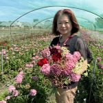后里區公所跳脫傳統　母親節改送繡球撫子