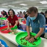 母親節特別活動「愛媽咪了梅」脆梅DIY體驗溫馨登場