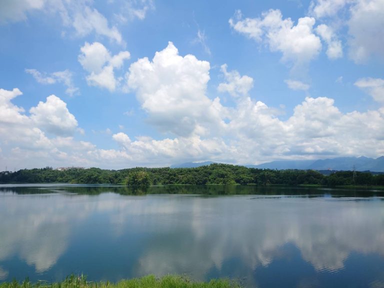 【元真專欄】中醫氣能養生 淺談節氣—立秋(8/7)、處暑(8/23)