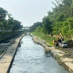 2025年度水利局完成排水系統清疏作業 持續提升城市排水效能