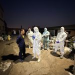 中市查獲龍井區違規廚餘養豬 後續將處最高400萬罰鍰