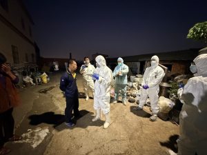 中市查獲龍井區違規廚餘養豬 後續將處最高400萬罰鍰