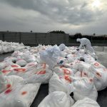 芳苑鄉蛋雞場撲殺清場消毒完成