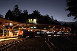 迎2026第一道曙光 阿里山林鐵觀日列車 10日起預售　