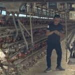 高市動保處抽檢牧場用藥 全數合格