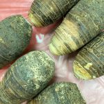 品嚐大甲芋頭 現正是最佳時節