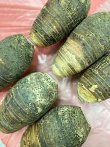 品嚐大甲芋頭 現正是最佳時節