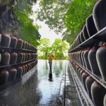 喜迎70週年 馬祖酒廠推東引陳高致敬