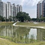 正義公園華麗轉身為多功能滯洪公園