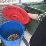 中央元旦廚餘收運 新制上路