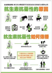 守護抗生素的未來 北榮桃園分院呼籲從你我做起