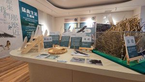 猛禽主題生活展 移展大雪山森林遊樂區