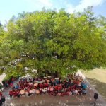 百年中路國小大榕樹獲列受保護樹木 農業局與師生歡度校慶溫馨揭牌