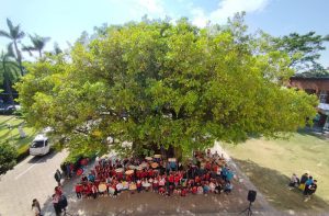 百年中路國小大榕樹獲列受保護樹木 農業局與師生歡度校慶溫馨揭牌
