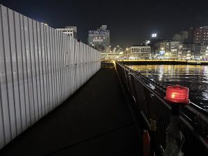 東岸碼頭臨時通道夜間照明失效盼改善