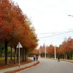 麗寶跨年搖滾區 聯名卡滿額搶先入場