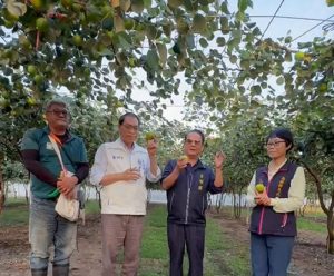 高樹蜜棗開採 蘇清泉赴產地關心棗農