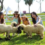 麗寶樂園親子農場試營運