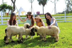 麗寶樂園親子農場試營運