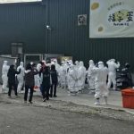 豐康蛋雞場「偷埋死雞」 隱匿禽流感