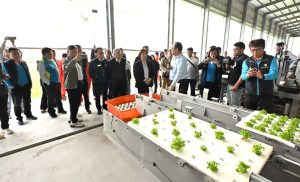 全國最大智慧水耕農場 落腳二林