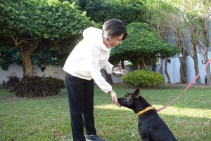 彰縣遊蕩犬貓TNVR活動 啟動