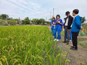 彰縣2國小通過環境部臺美生態學校綠旗認證