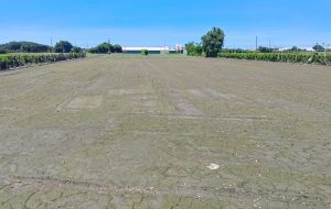 彰縣考古遺址審議會第1次會議審議 結果出爐