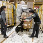 高雄關協防檢署 加強查核海運快遞貨物