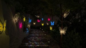 「奇幻大津」夜之覺旅 2月點亮大津瀑布