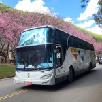 台中Go陪你漫遊武陵花海