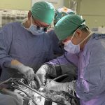 不輸血肝臟移植手術 花蓮慈院器官移植團隊導入「F1賽車」管理策略