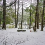 冬季暢遊梨山 在台中就能遇見雪國風景
