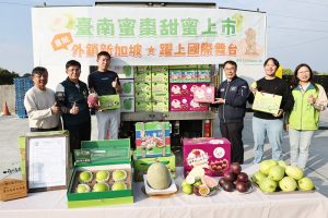 台南蜜棗首度外銷新加坡 黃偉哲力推冬季優質水果開拓國際市場