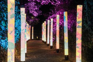 夜遊瀑布如入仙境 高樹奇幻大津2/5開幕限量登場