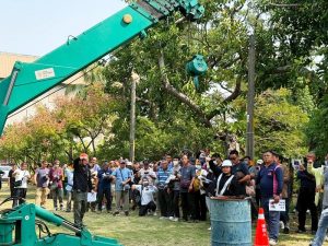 守護都市林木 高雄工務局培訓修剪專業人才