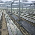 屏縣籲農牧漁民做好防寒措施